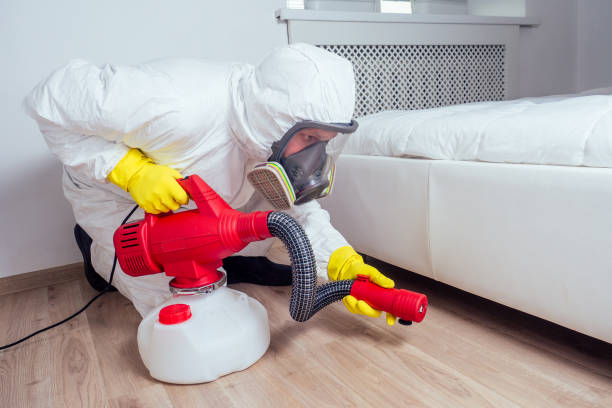 Best Fumigation Services  in Corydon, IA